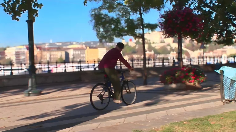 Dark Haired Girl Loves Outdoor Sucking